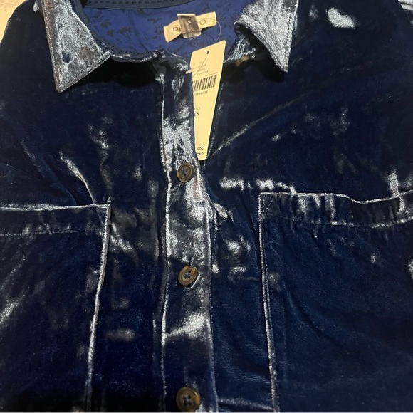 NWT Anthropologie Pilcro The Hadley Relaxed Buttondown Shirt:Velvet Edition XS - Picture 10 of 12